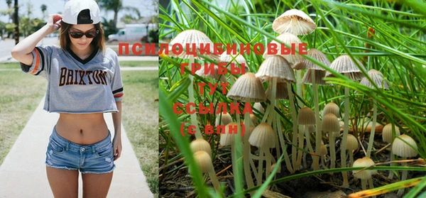 винт Беломорск