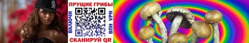 Псилоцибиновые грибы MAGIC MUSHROOMS  купить наркотики сайты  Смоленск 