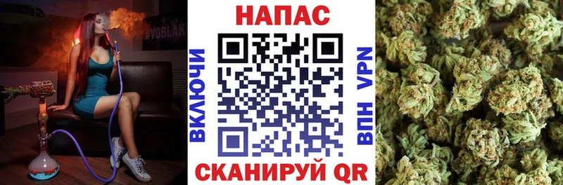 MEGA   Смоленск  Бошки Шишки сатива 